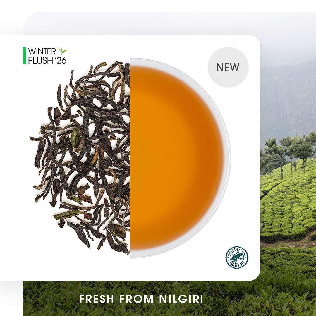 Nilgiri Havukal Winter Frost Black