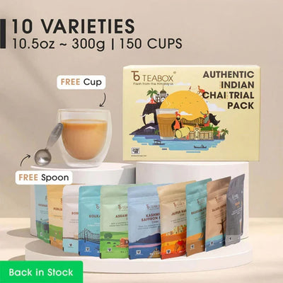 Authentic Indian Chai Trial Pack (Free Valencia Glass Teacup & Ideal Teaspoon)