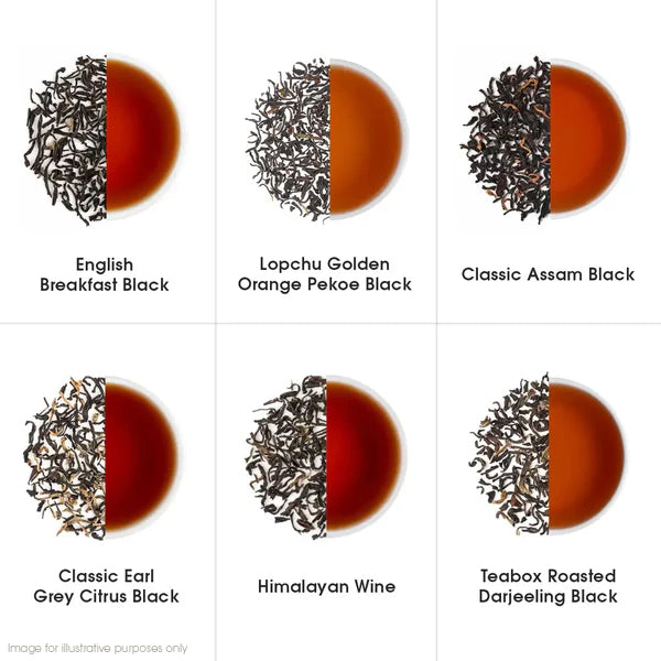 Darjeeling & Assam Whole Leaf Tea Trial Pack (Free Infuser Mug & Teaspoon)