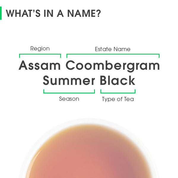 Assam Coombergram Summer Black