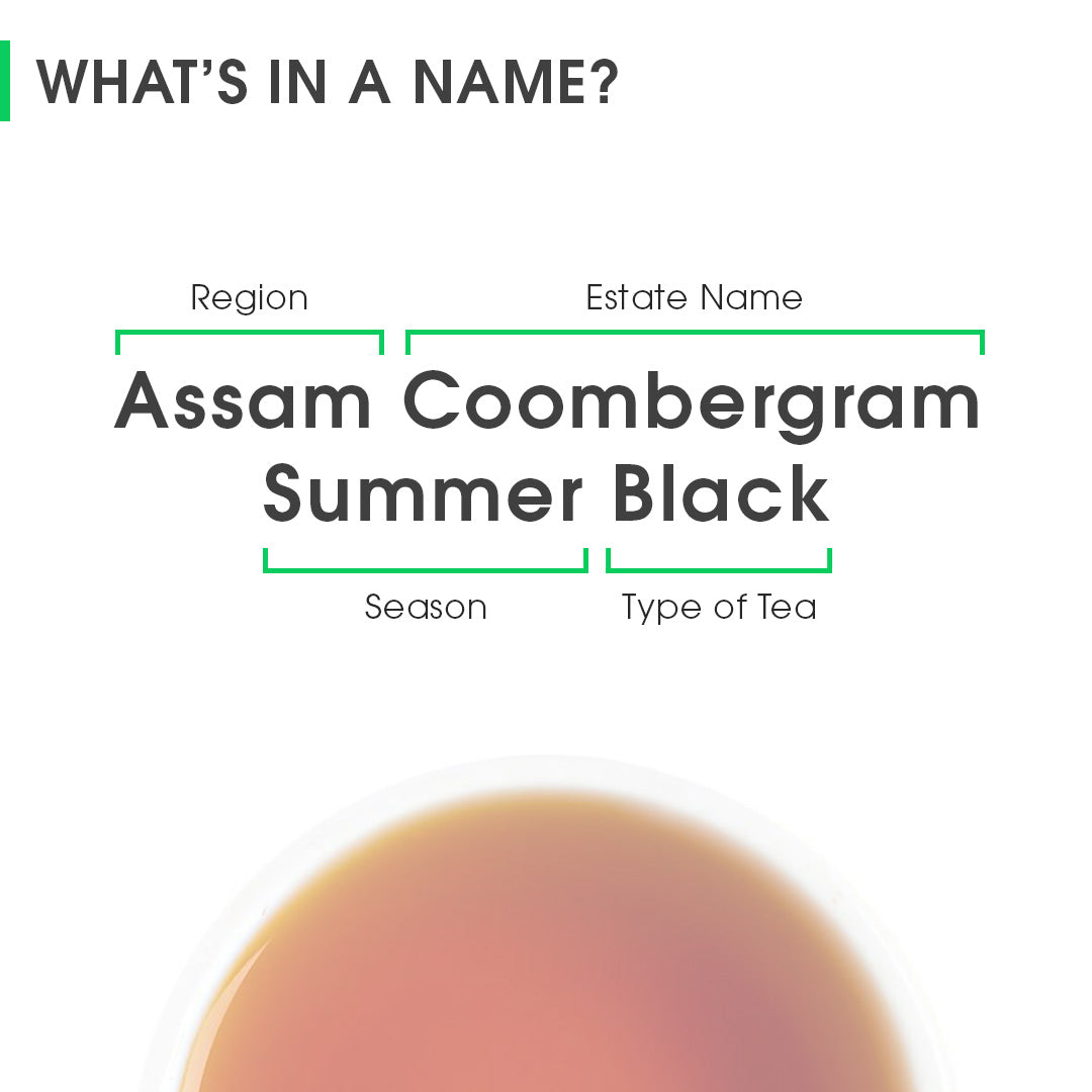 Assam Coombergram Summer Black