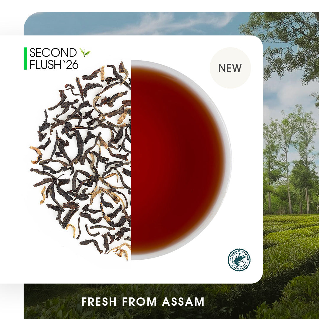 Assam Dejoo Summer Black