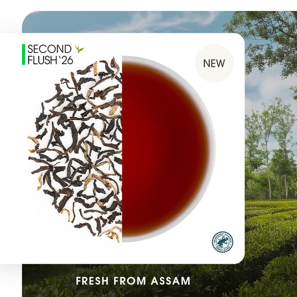 Assam Dejoo Summer Black