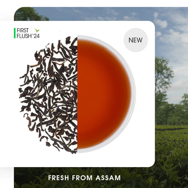 Assam Dinjoye Spring Black