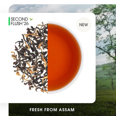 Assam Doomni Gold Summer Black