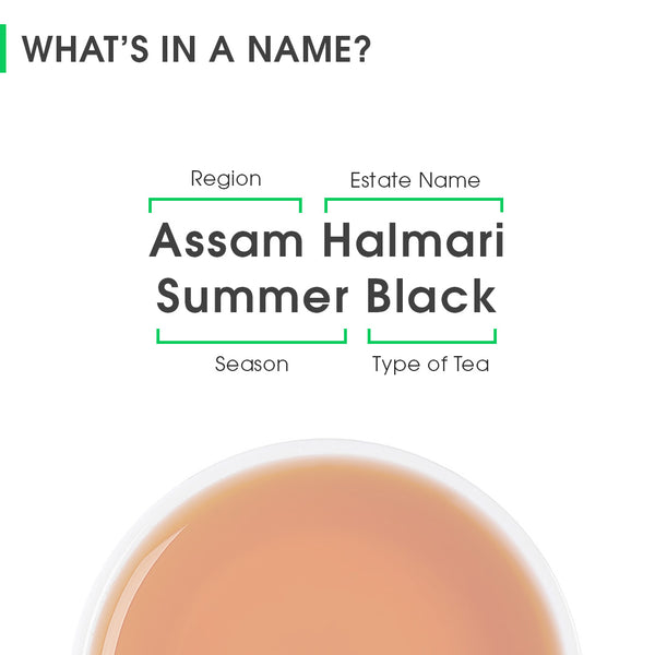 Assam Halmari Summer Black