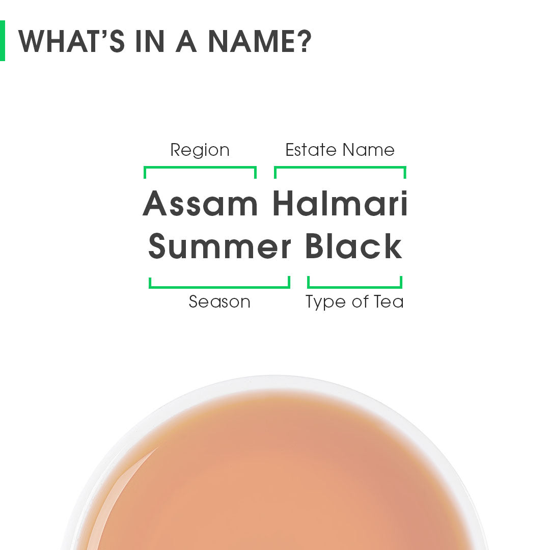 Assam Halmari Summer Black