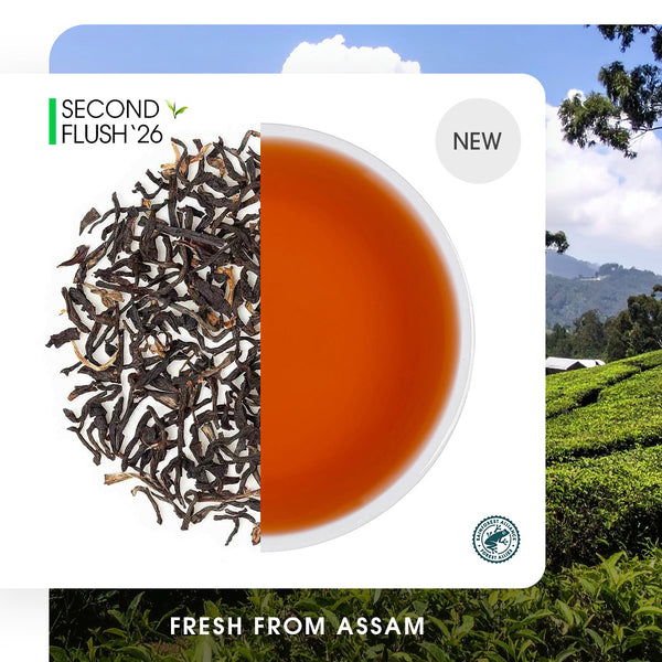 Assam Koilamari Summer Raspberry Black Tea
