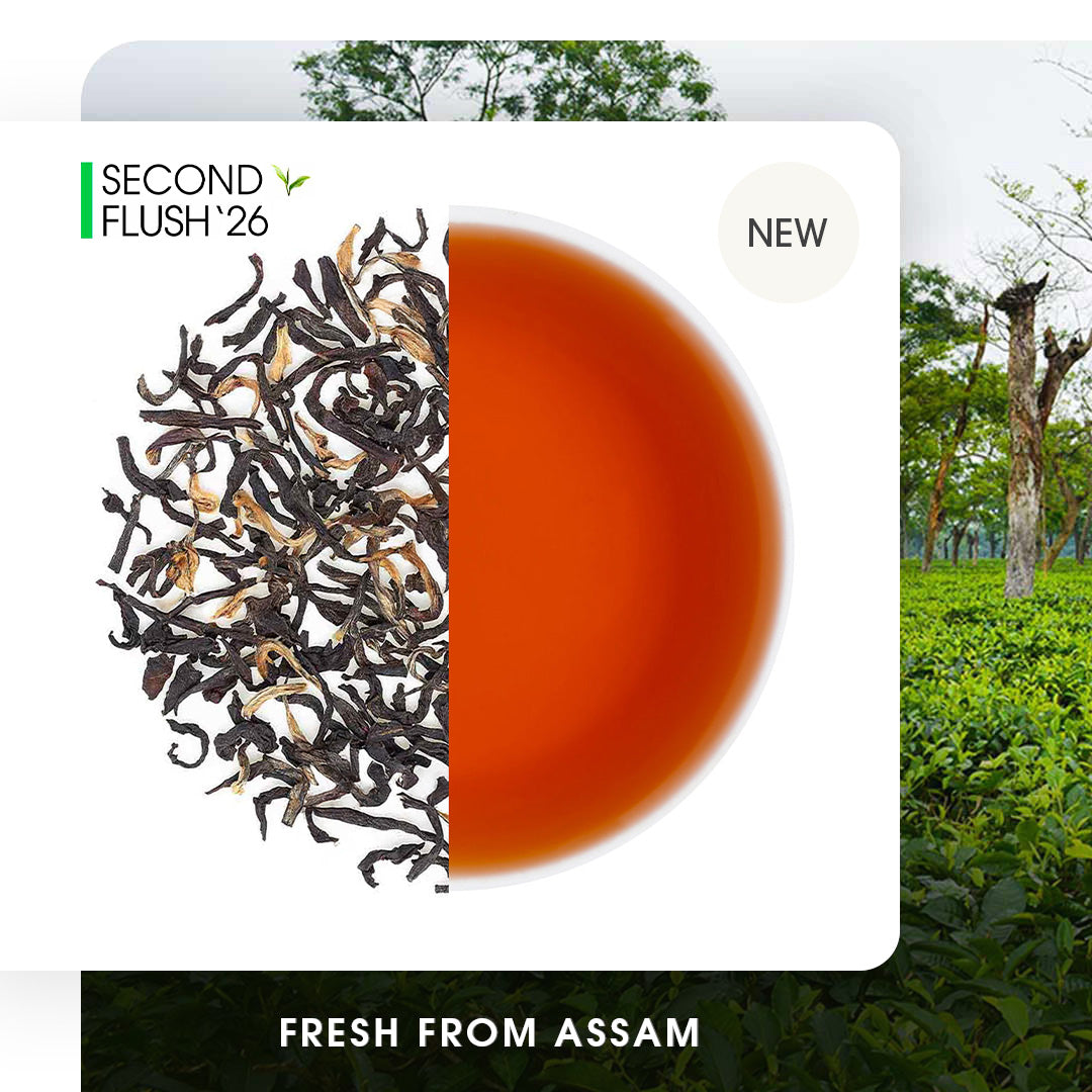 Assam Mangalam Gold Summer Black
