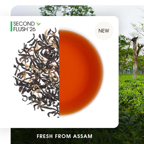 Assam Mangalam Gold Summer Black