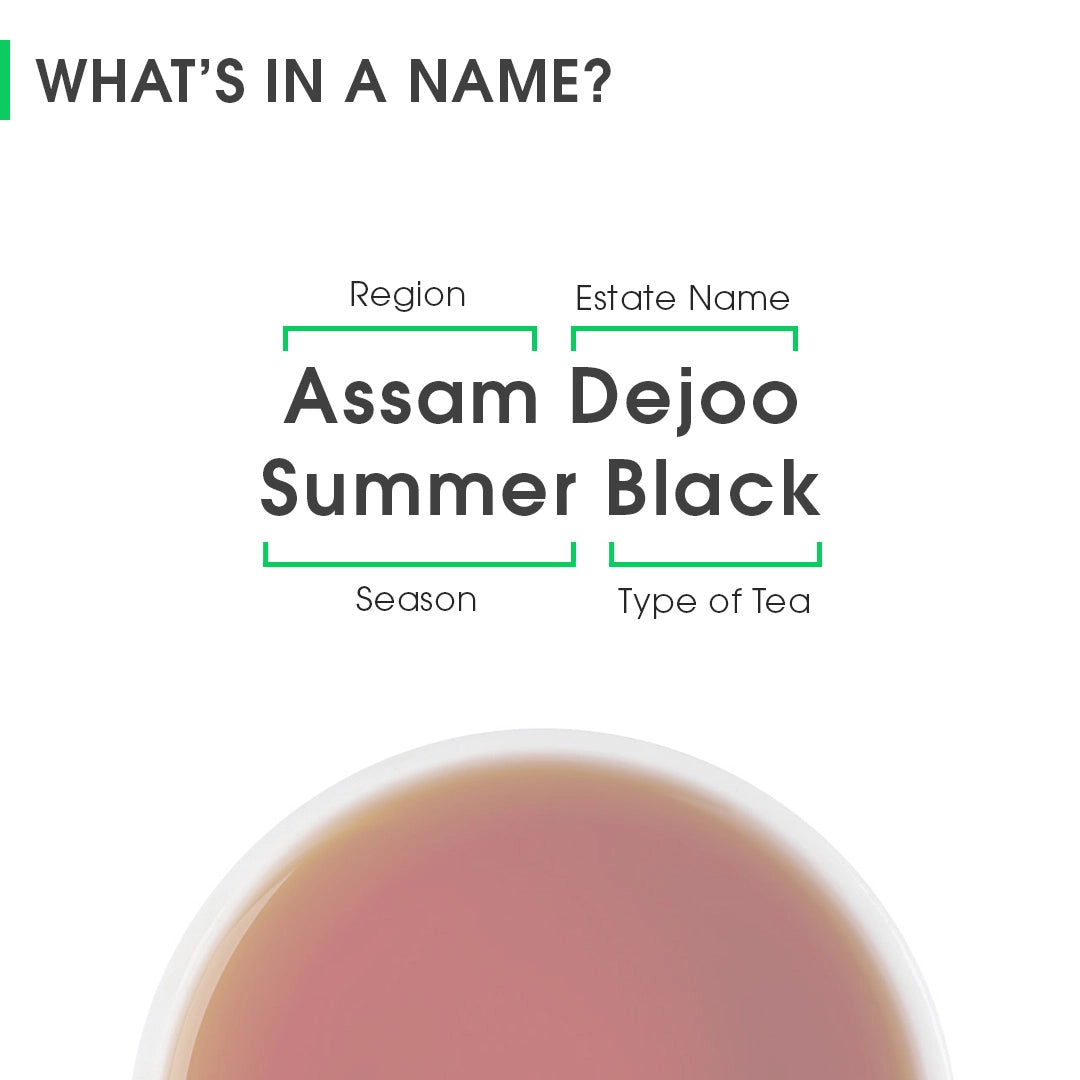 Assam Dejoo Summer Black