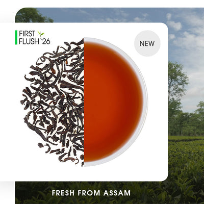 Assam Dinjoye Spring Black