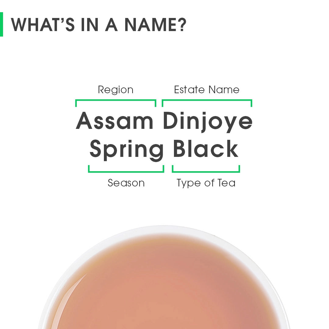 Assam Dinjoye Spring Black