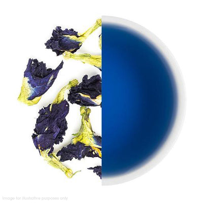 Butterfly Blue Pea Flower (Blue Amore)