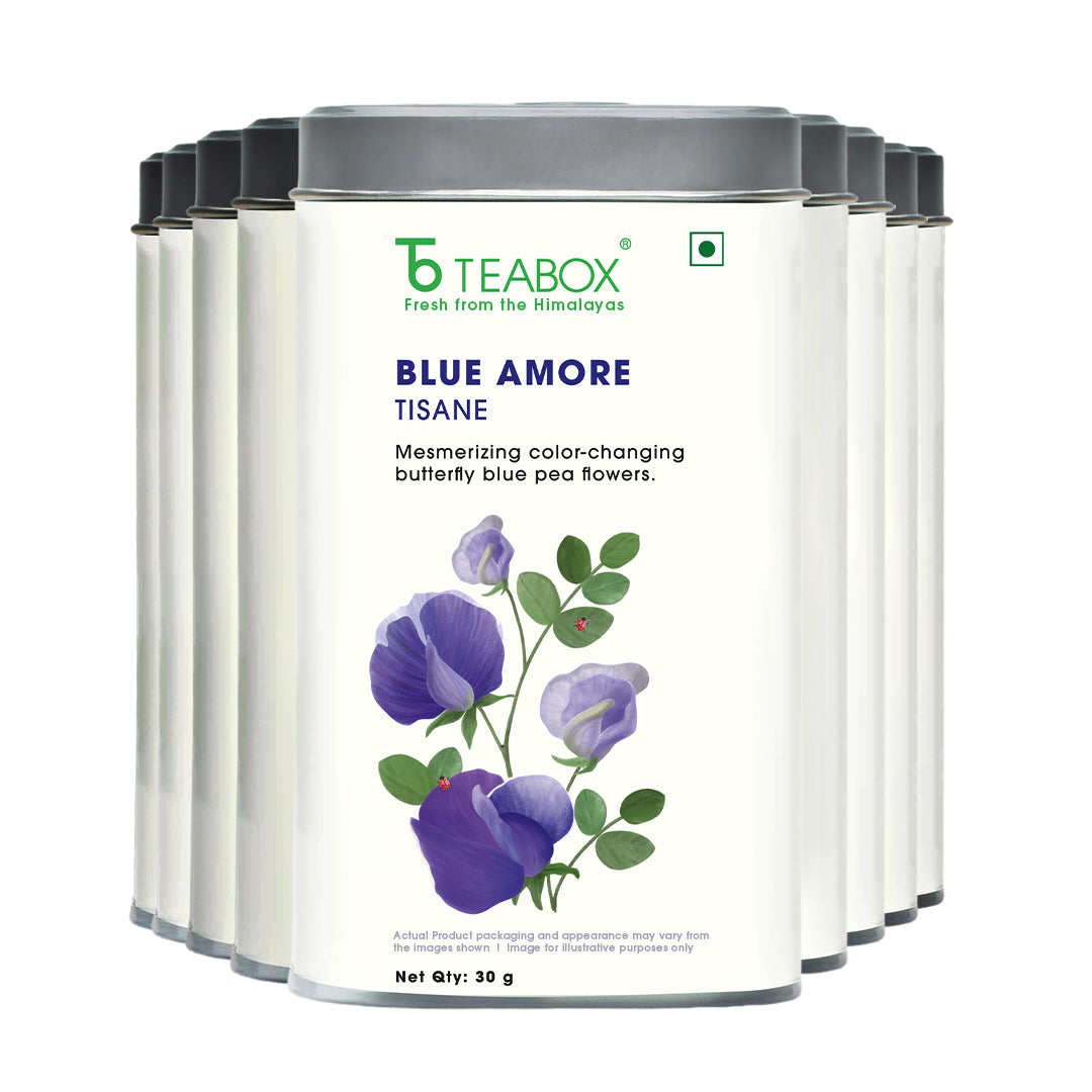 Butterfly Blue Pea Flower (Blue Amore)