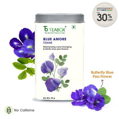 Butterfly Blue Pea Flower (Blue Amore)