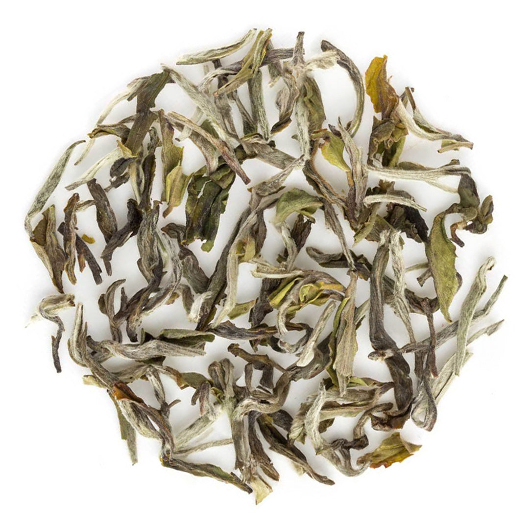 Buy Darjeeling Tea Online | 2026 Harvest | Teabox
