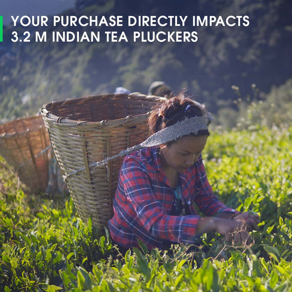 Darjeeling Badamtam Spring Clonal Black