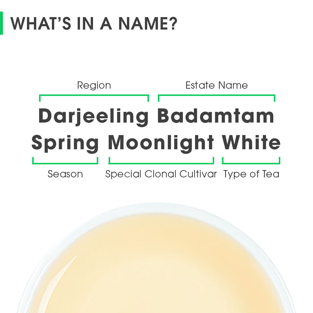 Darjeeling Badamtam Spring Moonlight White (Limited Edition)
