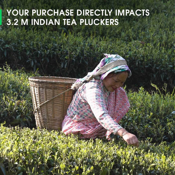 Darjeeling Balasun Spring Chinary Black