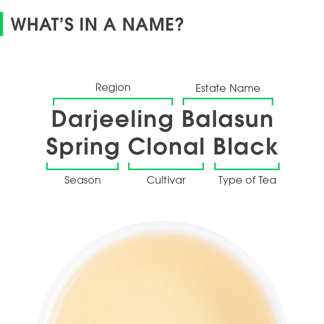 Darjeeling Balasun Spring Clonal Black