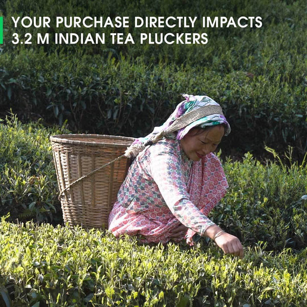 Darjeeling Balasun Summer Clonal Black