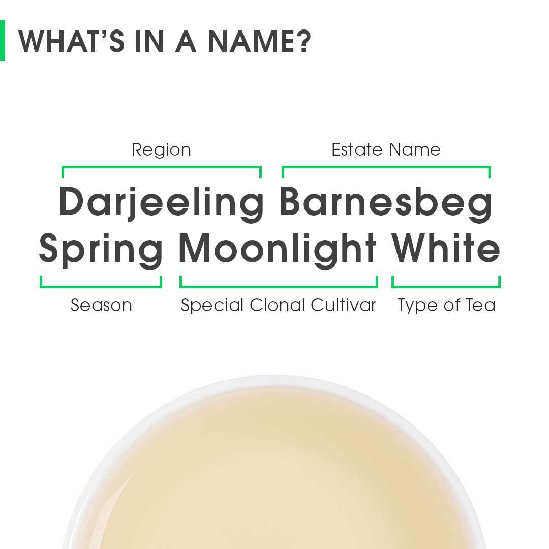Darjeeling Barnesbeg Spring Moonlight White
