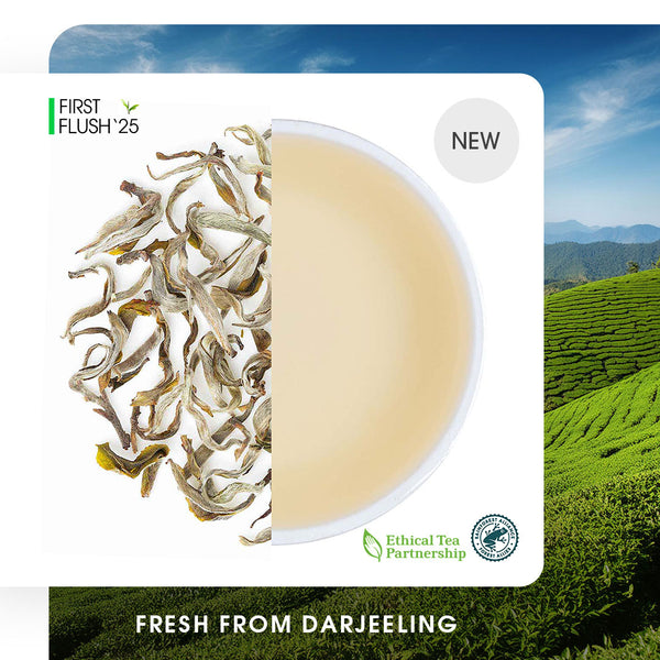 Darjeeling Castleton Moonlight Spring White