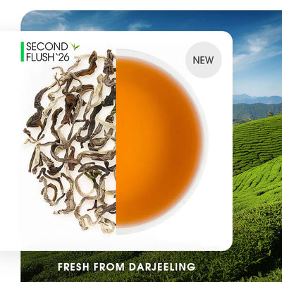Darjeeling Castleton Summer Moonlight White