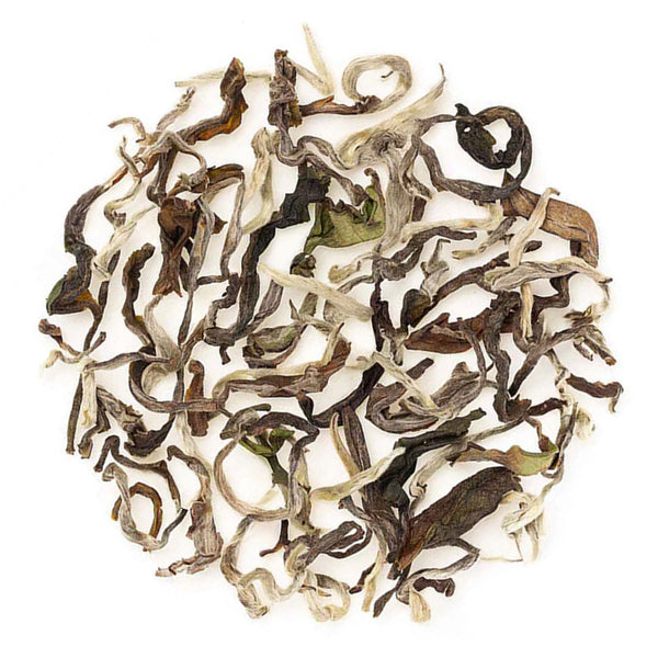 Darjeeling Castleton Summer Moonlight White