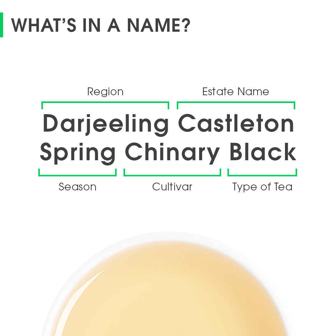 Darjeeling Castleton Spring Chinary Black