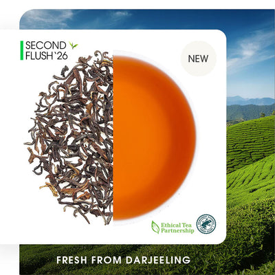 Darjeeling Castleton Summer Muscatel Black