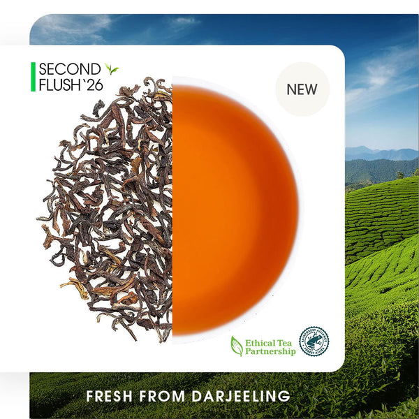 Darjeeling Castleton Summer Muscatel Black