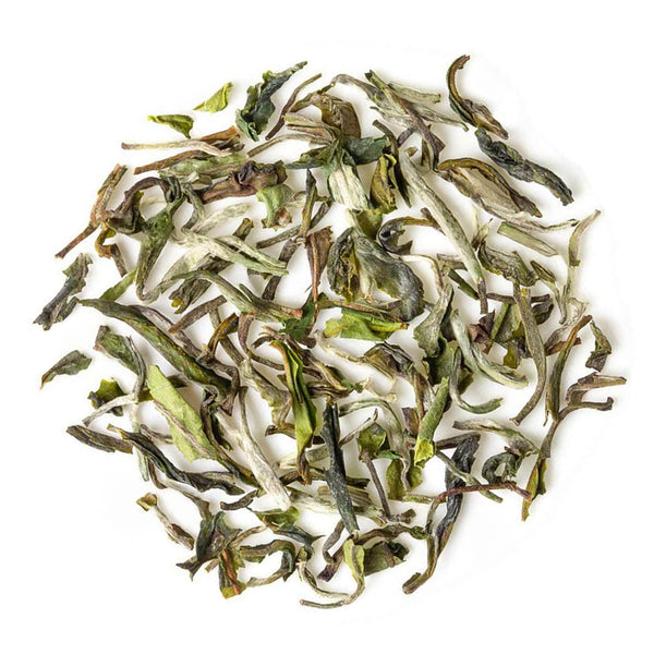 Darjeeling Giddapahar Spring Clonal Black (Limited Edition)