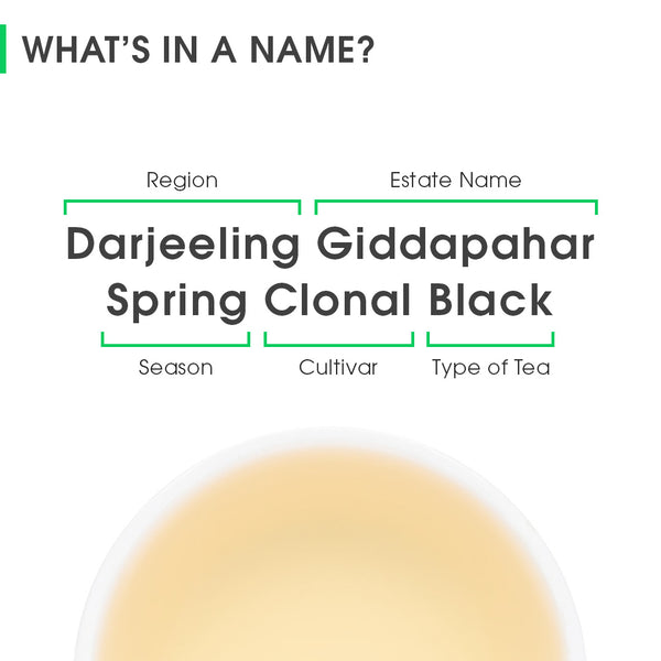 Darjeeling Giddapahar Spring Clonal Black (Limited Edition)