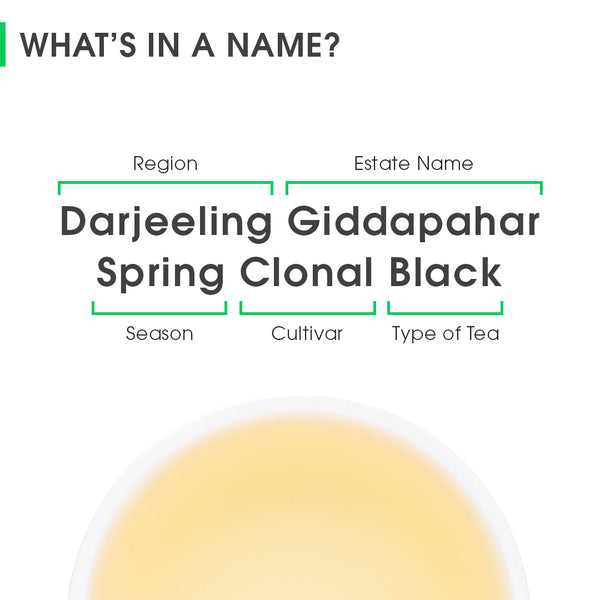 Darjeeling Giddapahar Spring Clonal Black (Limited Edition)