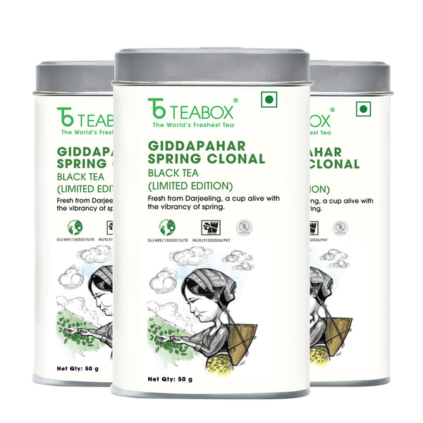 Darjeeling Giddapahar Spring Clonal Black (Limited Edition)