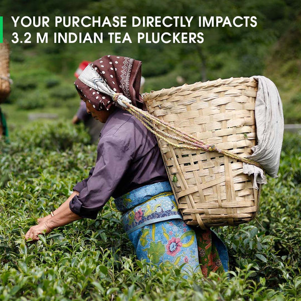 Darjeeling Giddapahar Summer Chinary Black