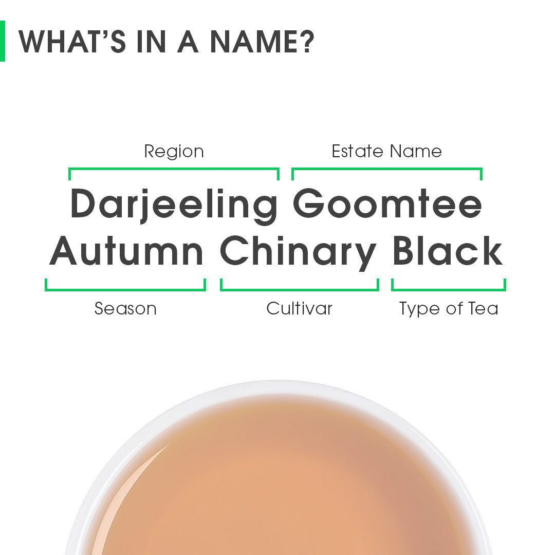 Darjeeling Goomtee Autumn Chinary Black