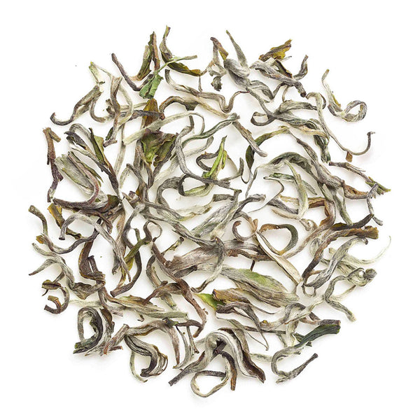 Darjeeling Margaret's Hope Spring Moonlight White
