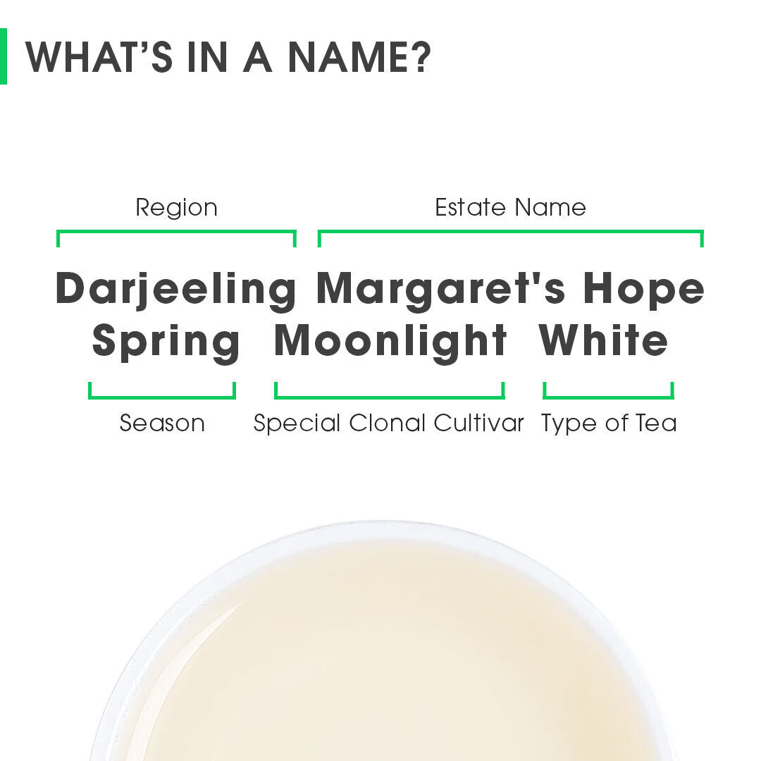 Darjeeling Margaret's Hope Spring Moonlight White (10gm)