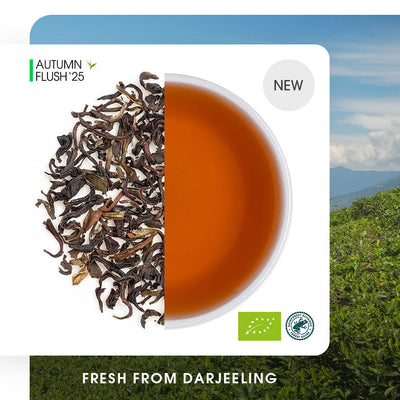 Darjeeling Okayti Autumn Chinary Black