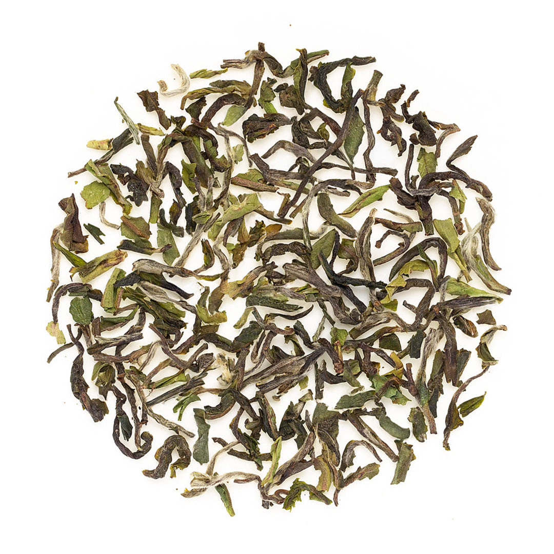 Darjeeling Okayti Spring Chinary Black