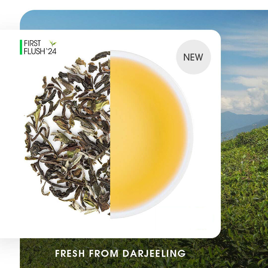 Buy 2024 Darjeeling Okayti Spring Clonal Black (Signature Series ...