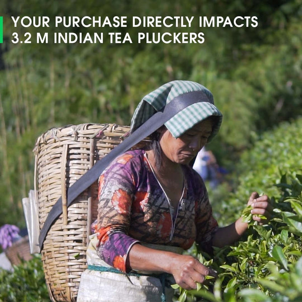 Darjeeling Okayti Spring Clonal Black