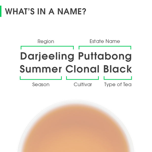 Darjeeling Puttabong Summer Clonal Black
