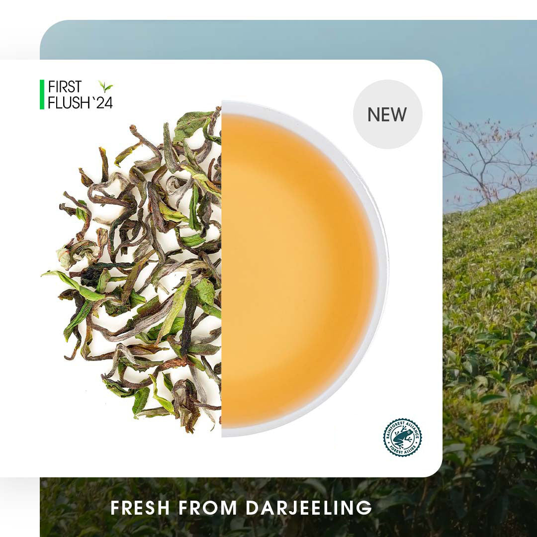 Darjeeling Risheehat Spring Chinary Black (Limited Edition)