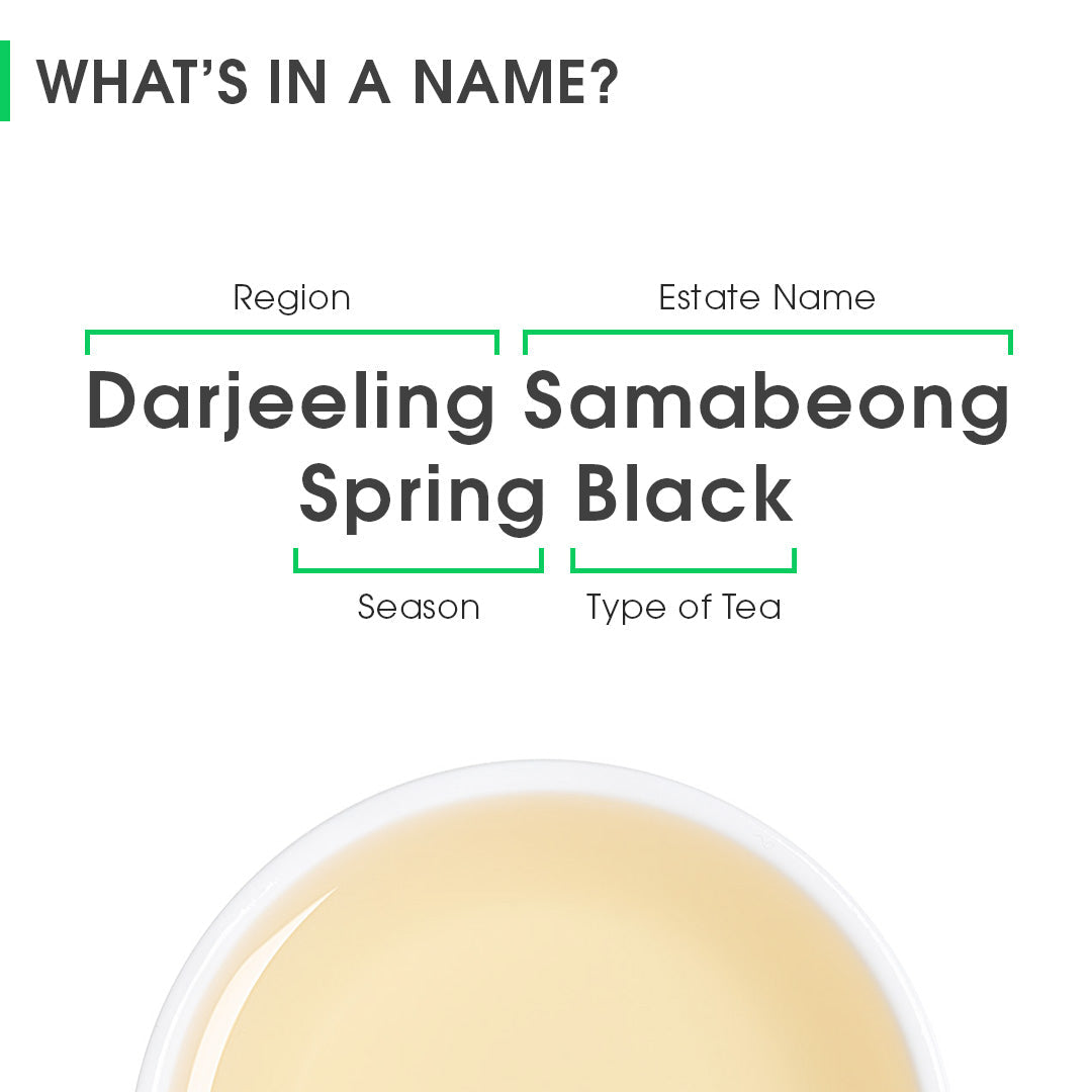 Darjeeling Samabeong Spring Black (10)