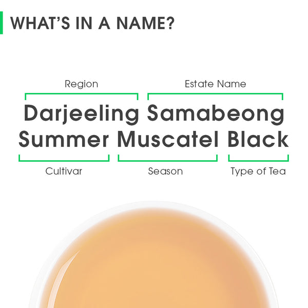 Darjeeling Samabeong Summer Muscatel Black (Limited Edition)