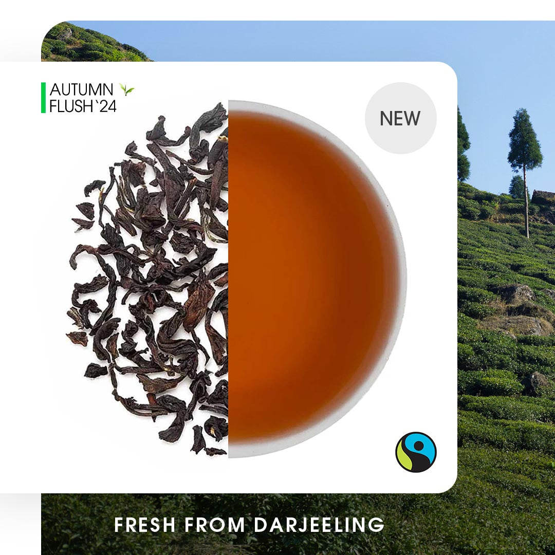 Darjeeling Seeyok Autumn Chinary Black